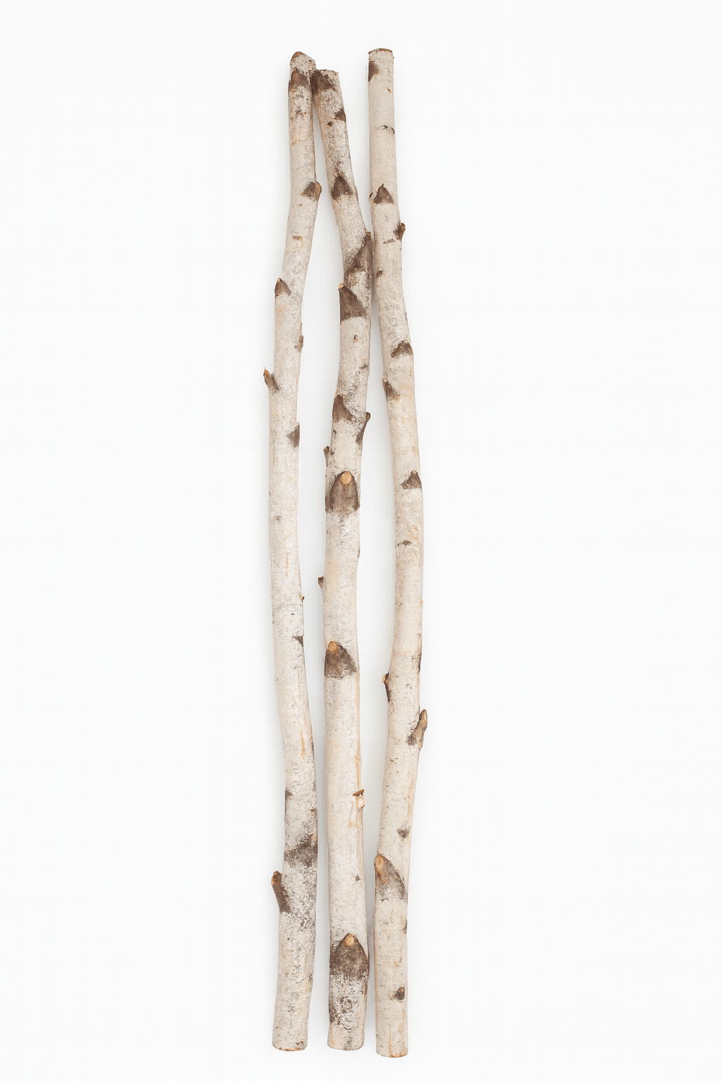 3pc Natural Birch Log Set - Rustic 4ft Fireplace Logs, natural birch logs measuring 4 feet in length.