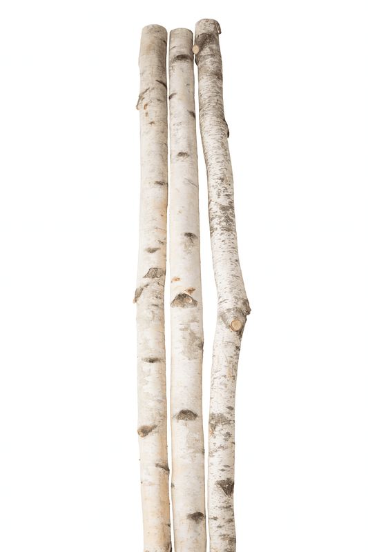 3pc Natural Birch Log Set - Rustic 4ft Fireplace Logs featuring three birch logs with natural textures.
