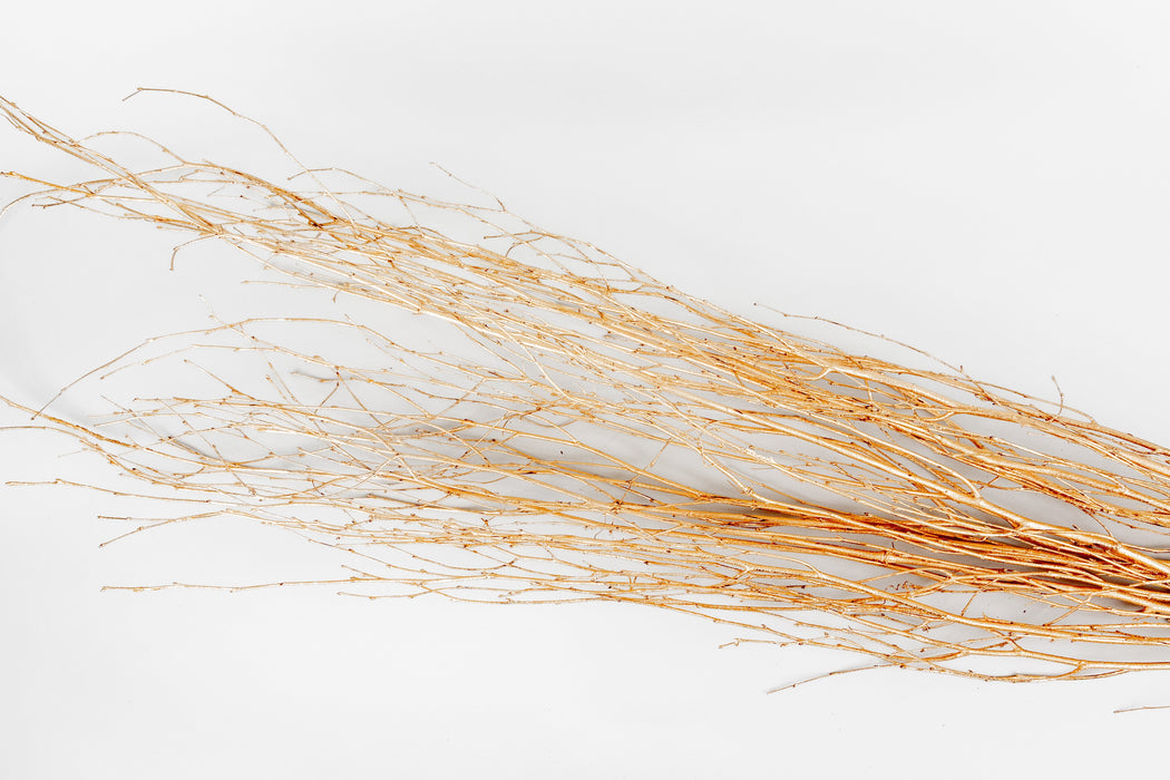 Metallic Gold Birch Branches – 10pc Bundle (3–4 ft Decorative Stems)