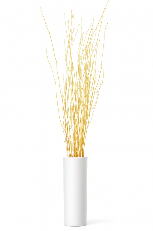 Metallic Gold Birch Branches – 10pc Bundle (3–4 ft Decorative Stems)