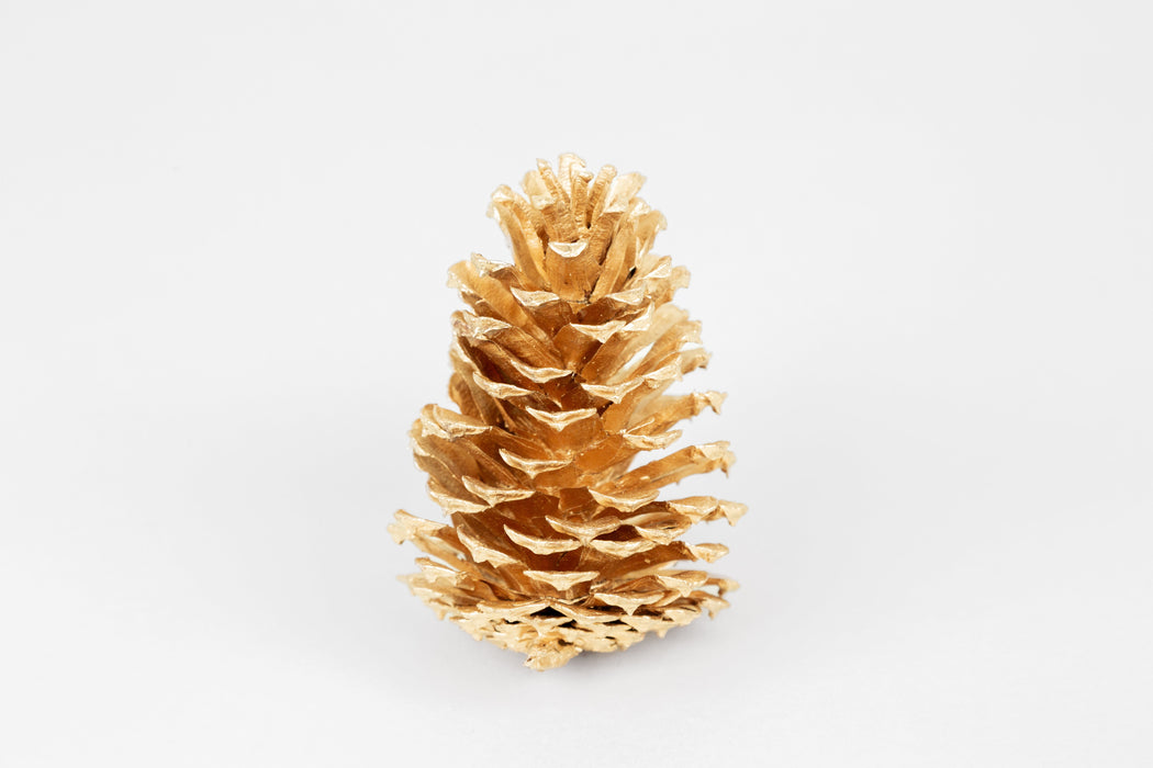 Metallic Gold Loblolly Pine Cones – Set of 15 Gilded Seasonal Accents