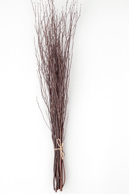 Natural Birch Branches – 10pc Bundle (3–4 ft Rustic Stems)