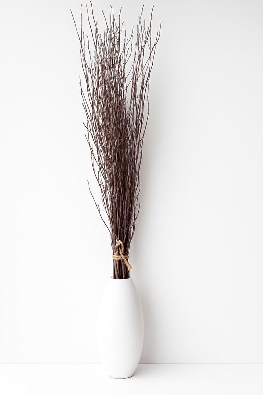 Natural Birch Branches – 10pc Bundle (3–4 ft Rustic Stems)