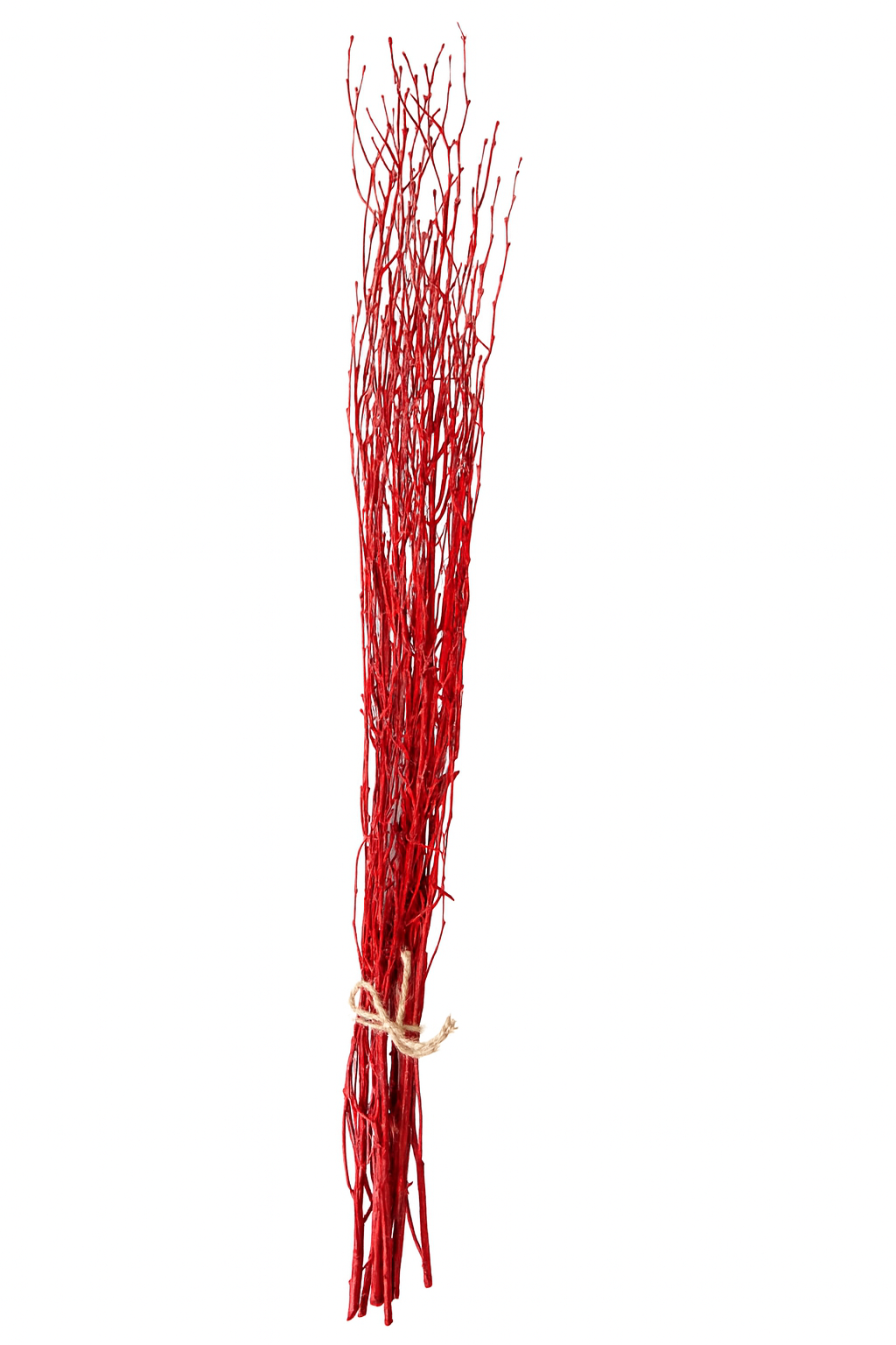 Red Painted Birch Branches – 10pc Bundle (3–4 ft Decorative Stems)
