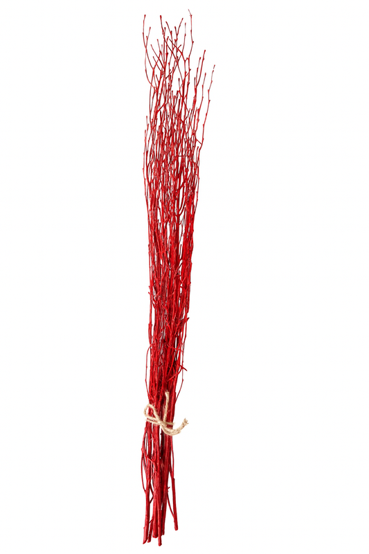 Red Painted Birch Branches – 10pc Bundle (3–4 ft Decorative Stems)