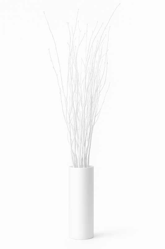 White Painted Birch Branches – 10pc Bundle (3–4 ft Decorative Stems)