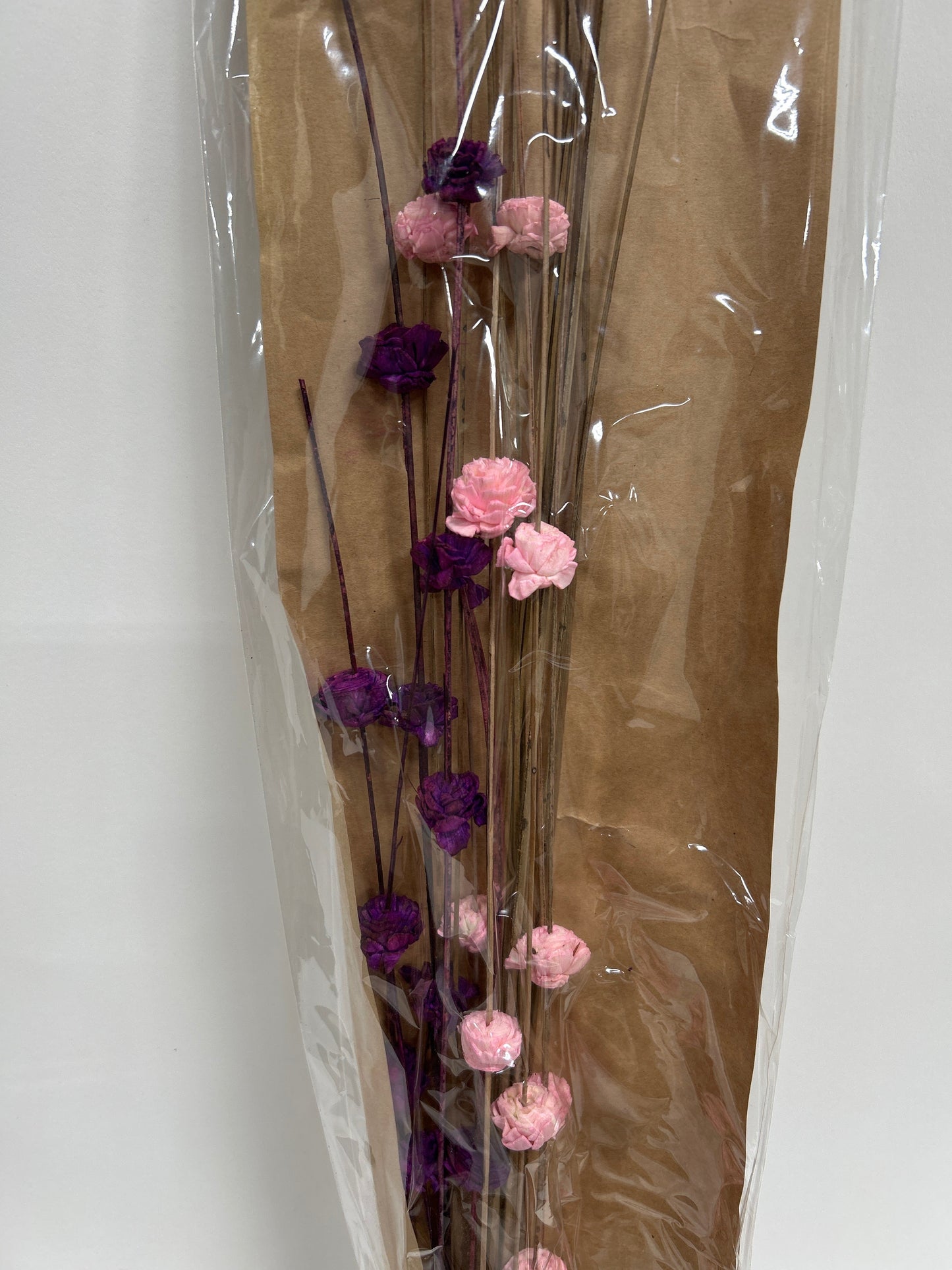 Ting Ting with Sola Flower Bunch