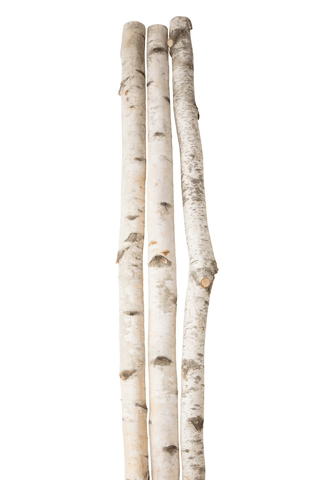 3pc Natural Birch Log Set - Rustic 4ft Fireplace Logs featuring three birch logs with natural textures.