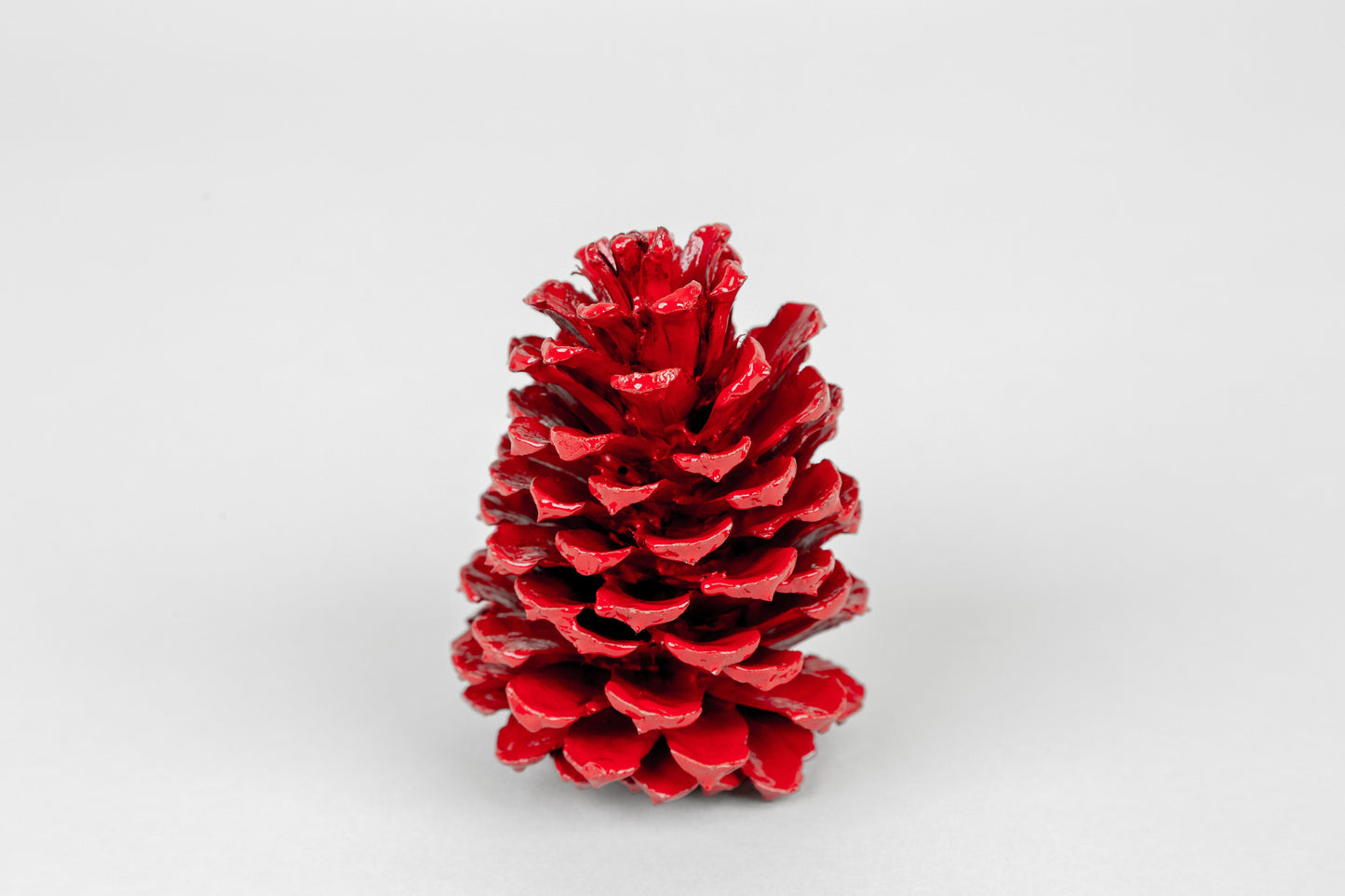 Red-Finished Loblolly Pine Cones – Set of 15 Holiday Accents