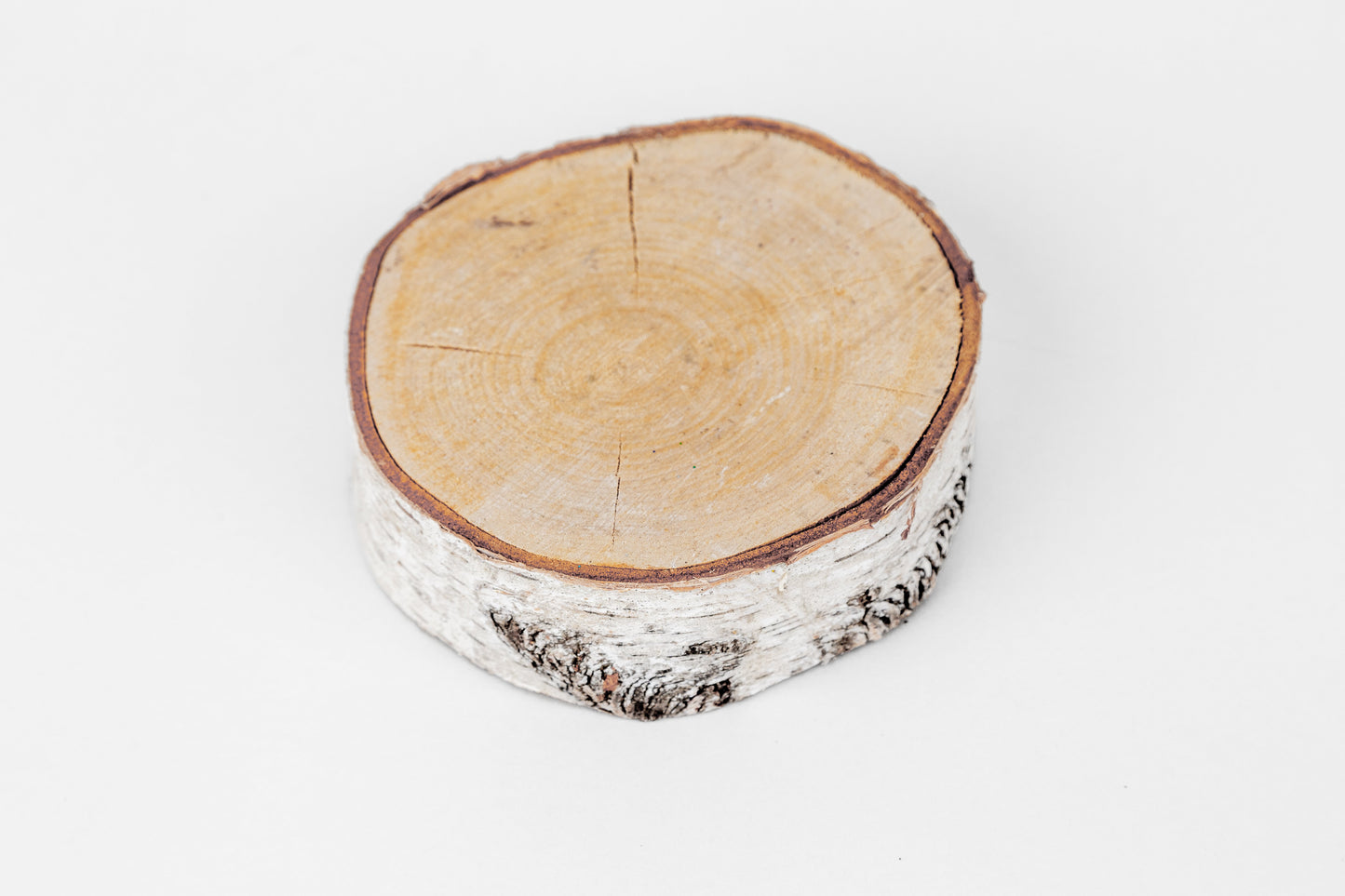 Birch Slices (Discs)