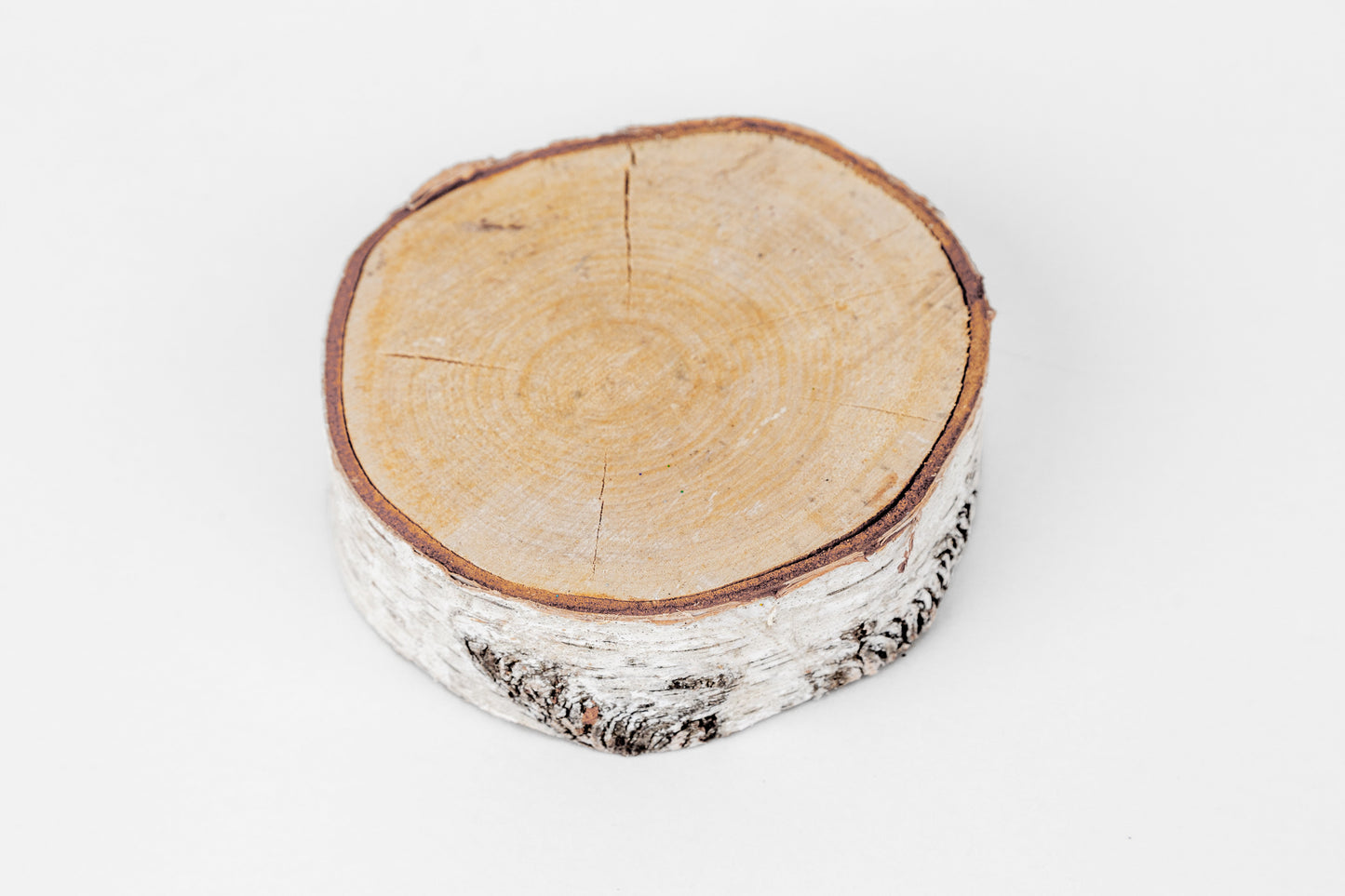 Birch Slices (Discs)