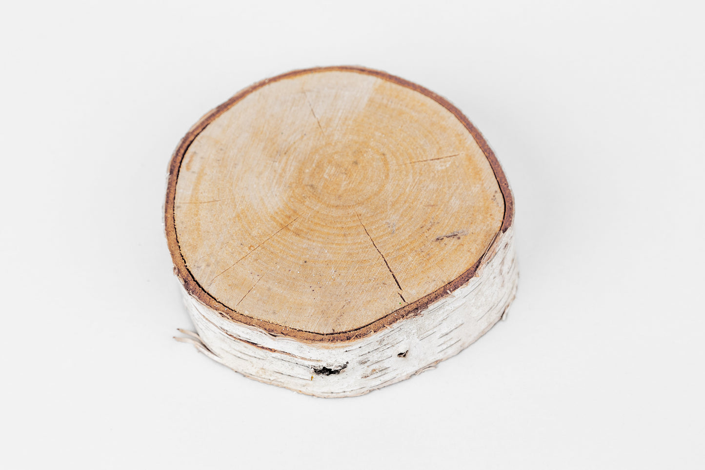 Birch Slices (Discs)