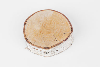 Birch Slices (Discs)