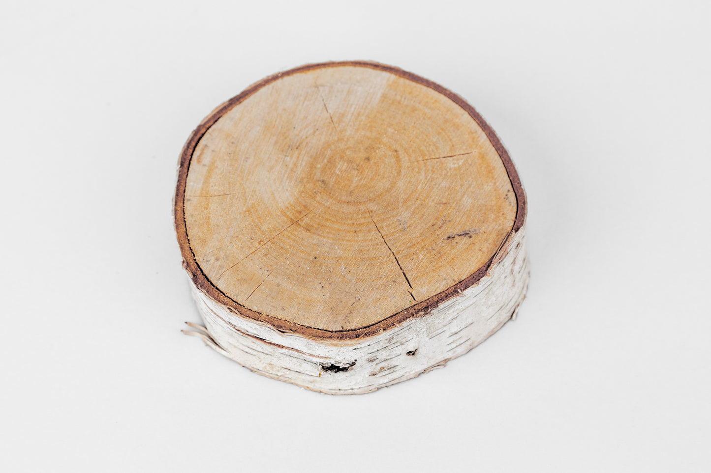 Birch Slices (Discs)