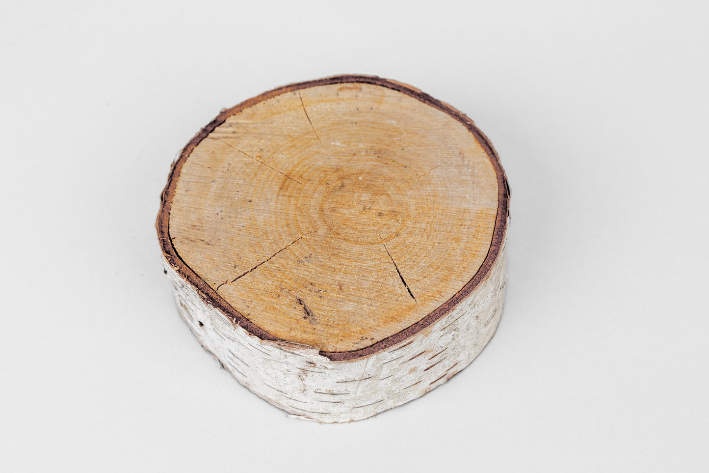 Birch Slices (Discs)
