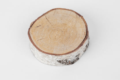 Birch Slices (Discs)