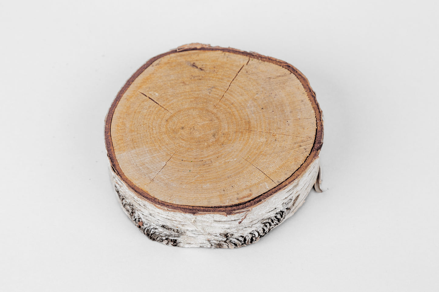 Birch Slices (Discs)