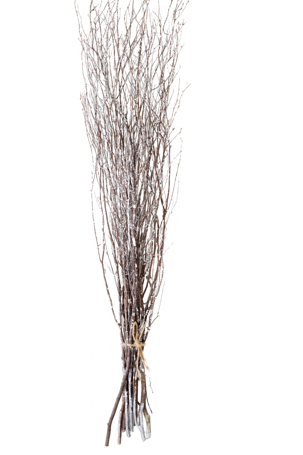 Touch of Winter Birch Branches – 10pc Bundle (3–4 ft, White-Dusted Finish)