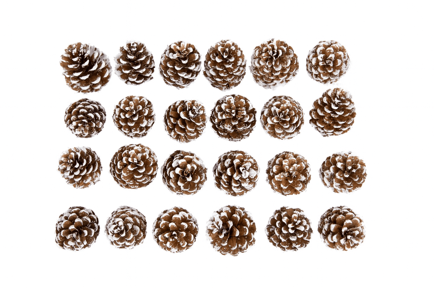 Frosted Austriaca Pine Cones – Set of 24 Winter Craft Accents