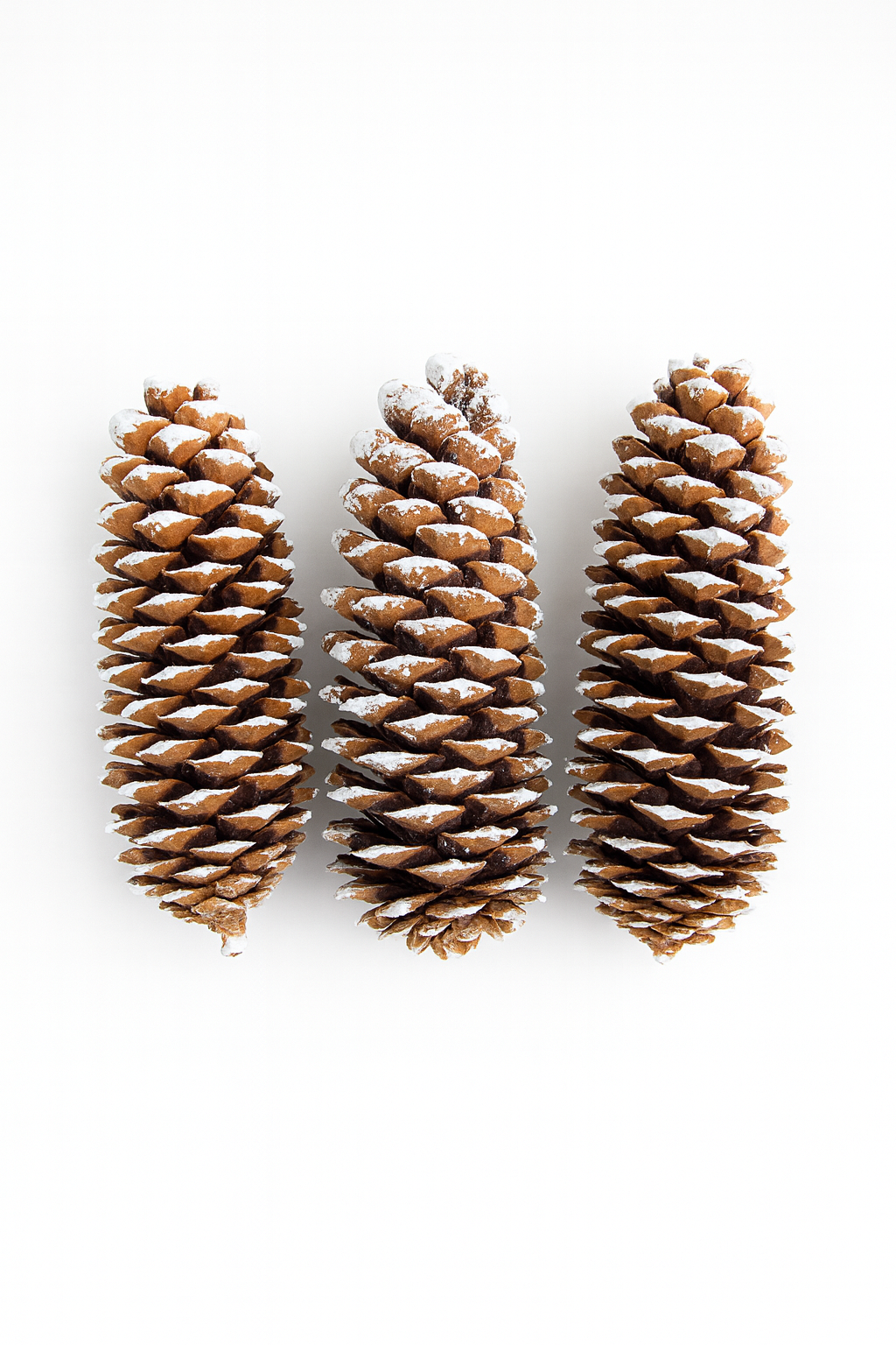 Frosted Sugar Pine Cones – Set of 3 Elegant Seasonal Accents