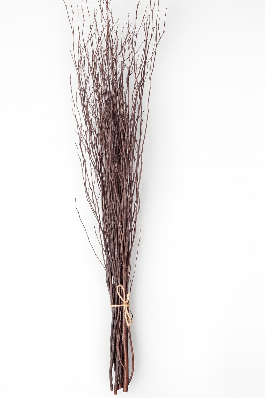 Natural Birch Branches – 10pc Bundle (3–4 ft Rustic Stems)