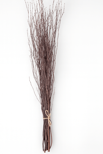 Natural Birch Branches – 10pc Bundle (3–4 ft Rustic Stems)