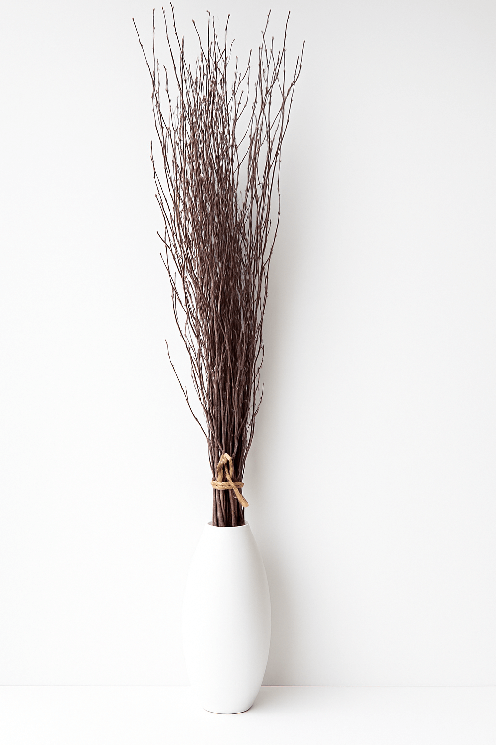 Natural Birch Branches – 10pc Bundle (3–4 ft Rustic Stems)