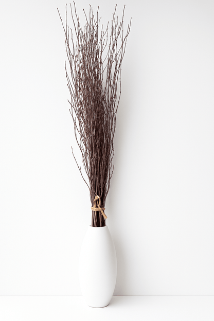 Natural Birch Branches – 10pc Bundle (3–4 ft Rustic Stems)