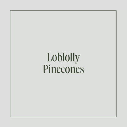 Metallic Gold Loblolly Pinecones - Set of 15