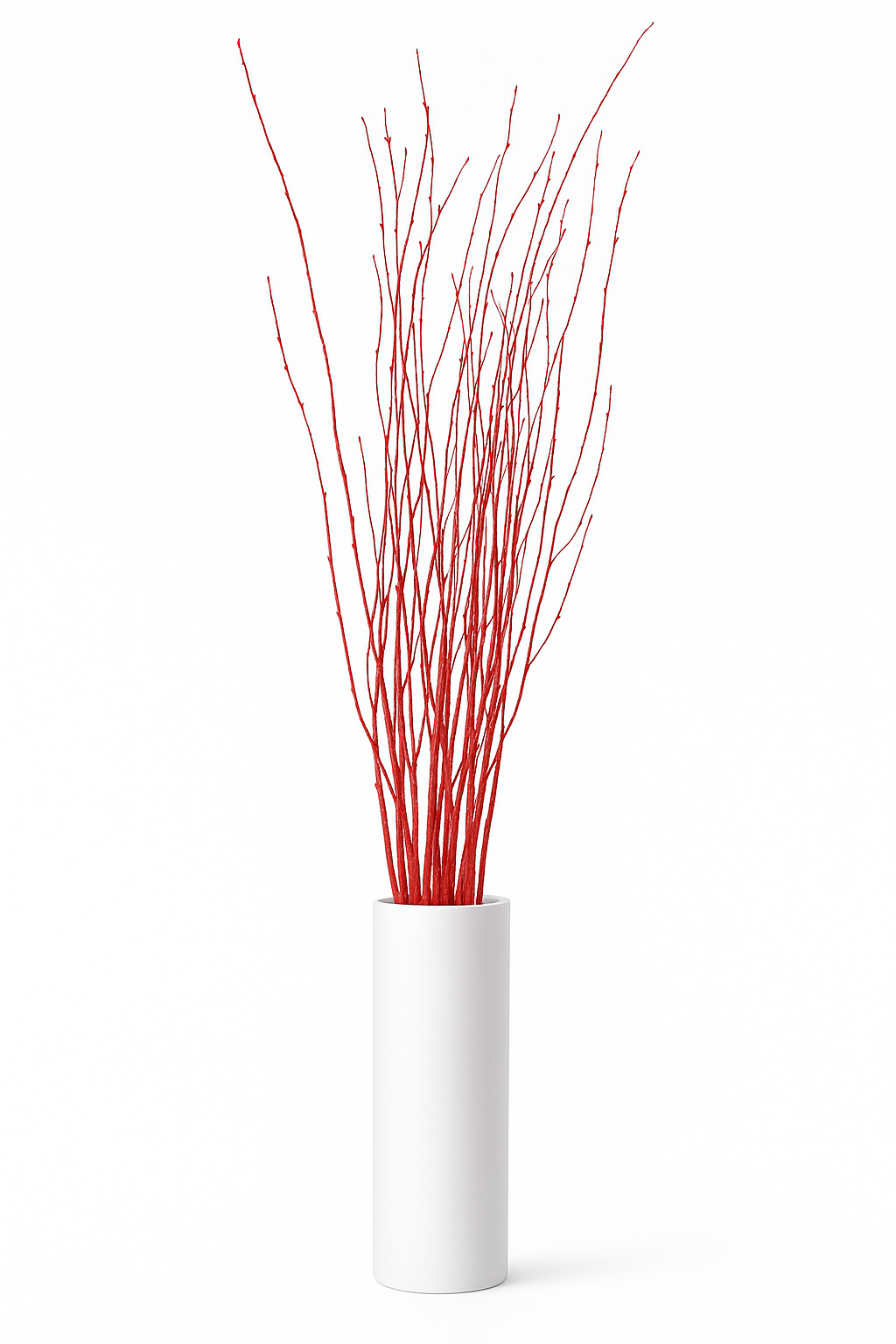 Red Painted Birch Branches – 10pc Bundle (3–4 ft Decorative Stems)