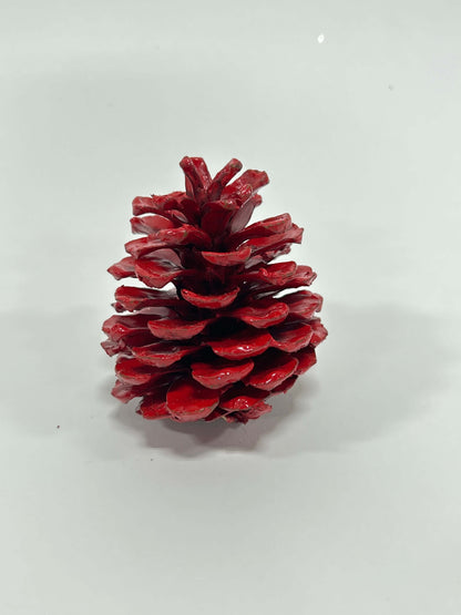 Red-Finished Austriaca Pine Cones – Set of 24 Seasonal Accents