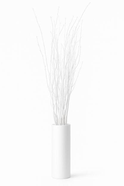 White Painted Birch Branches – 10pc Bundle (3–4 ft Decorative Stems)
