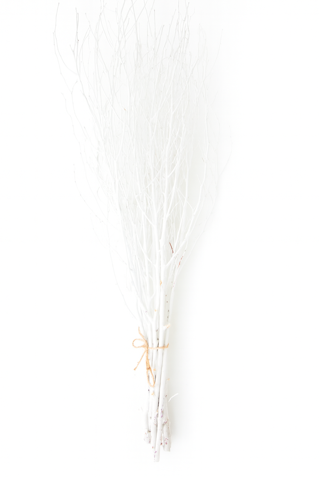 White Painted Birch Branches – 10pc Bundle (3–4 ft Decorative Stems)