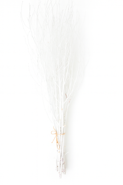 White Painted Birch Branches – 10pc Bundle (3–4 ft Decorative Stems)